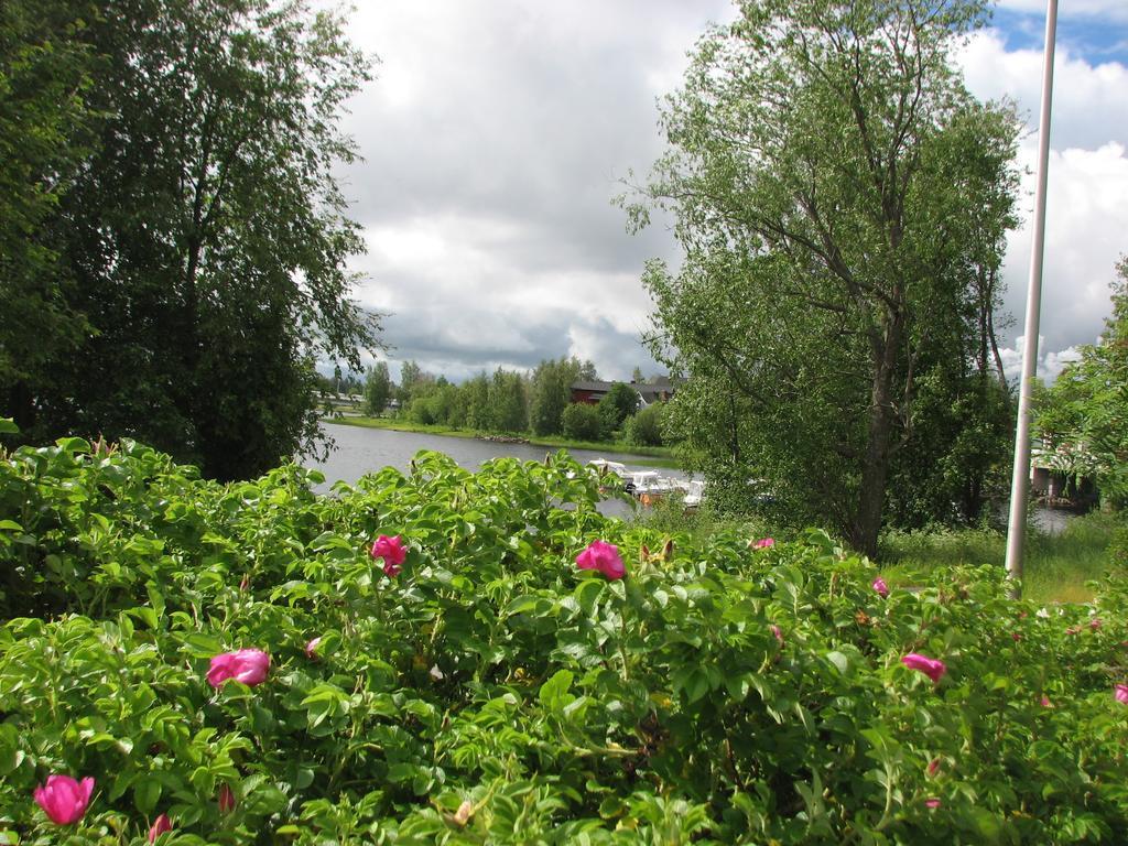 Turusensaha Guesthouse Oulu Bagian luar foto